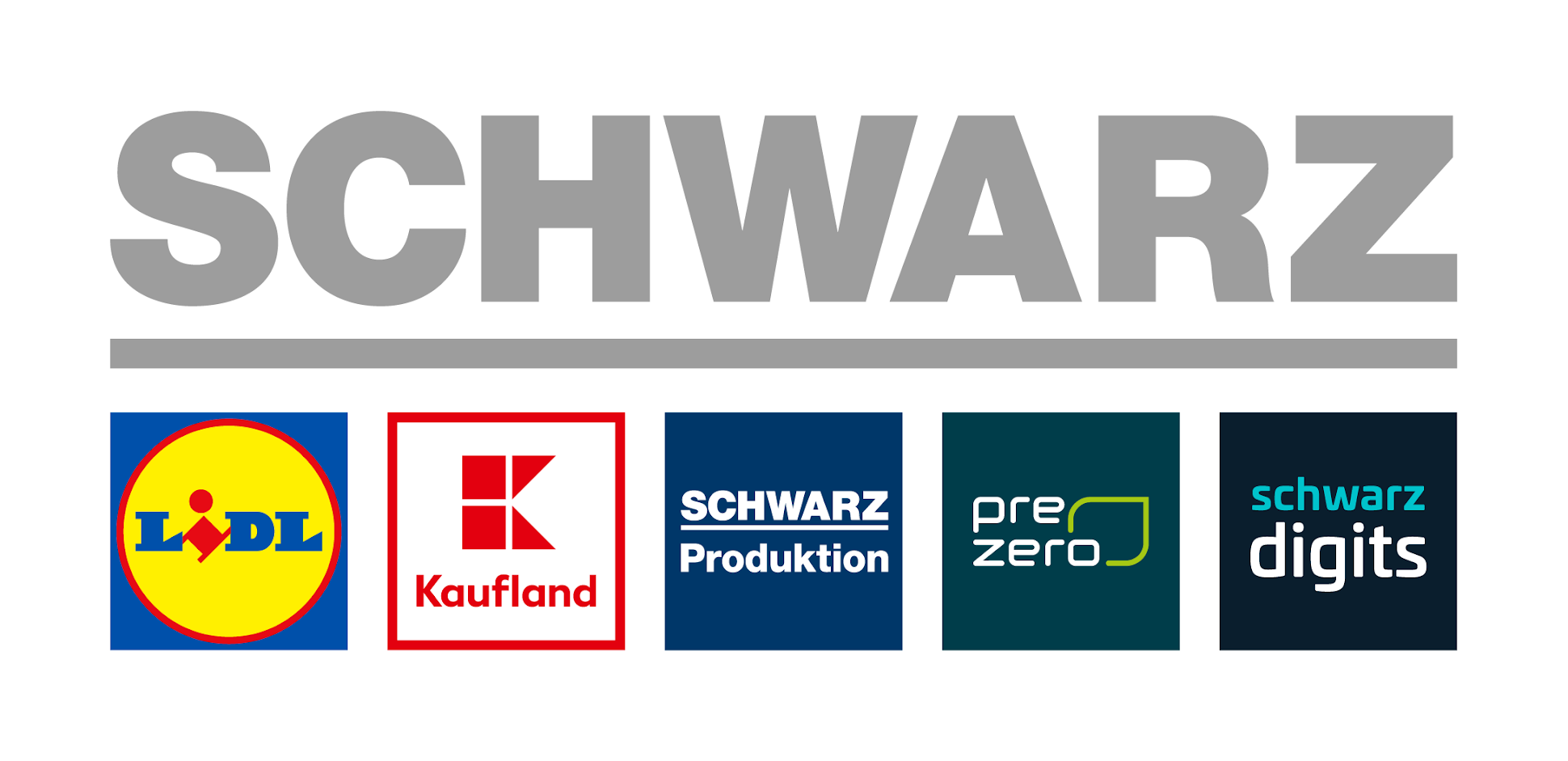 Schwarz SSO